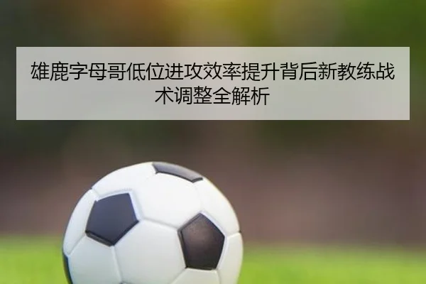 雄鹿字母哥低位进攻效率提升背后新教练战术调整全解析